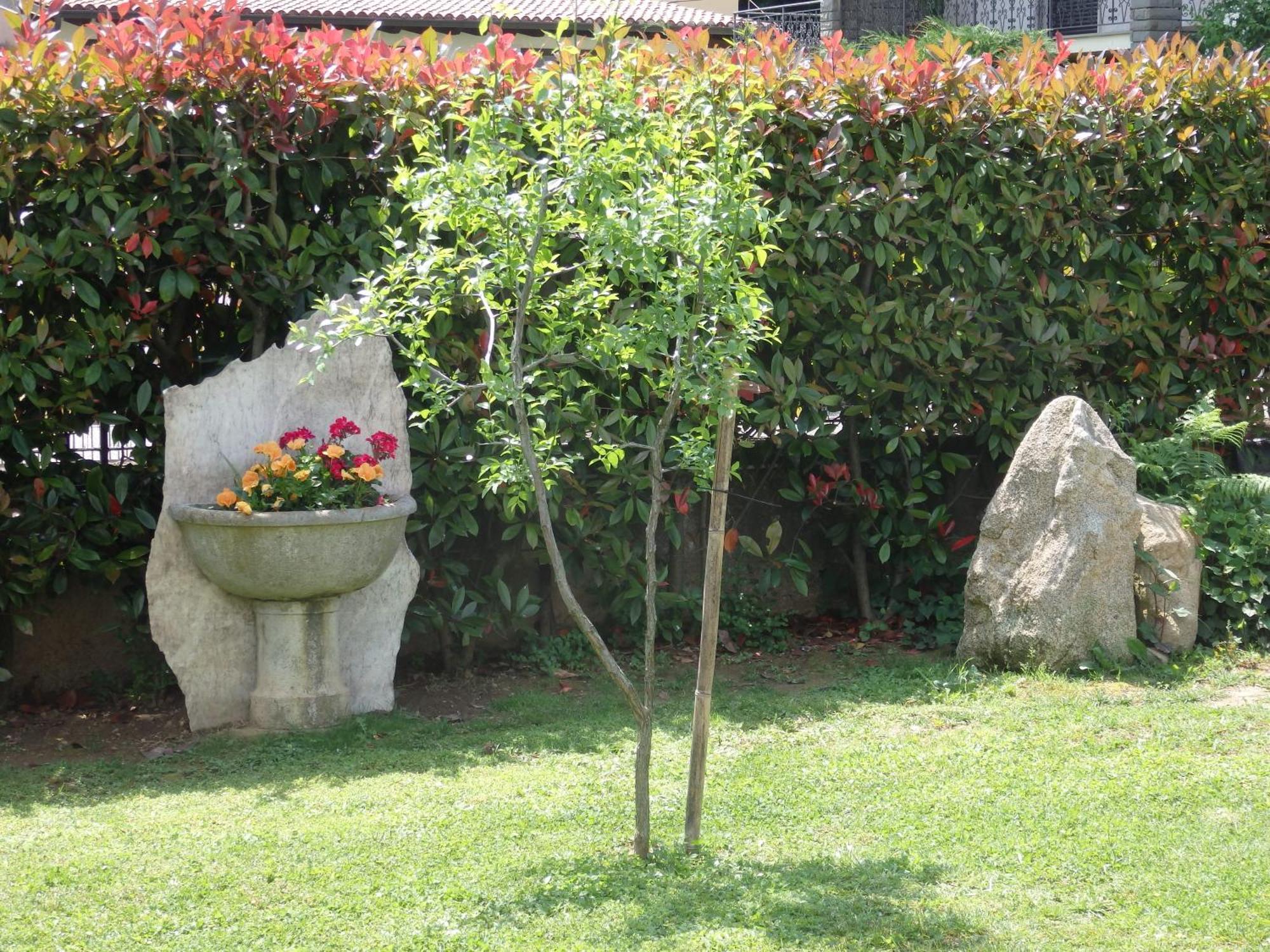 Riflessi D'Arte Bed & Breakfast Провалио д'Исео Екстериор снимка